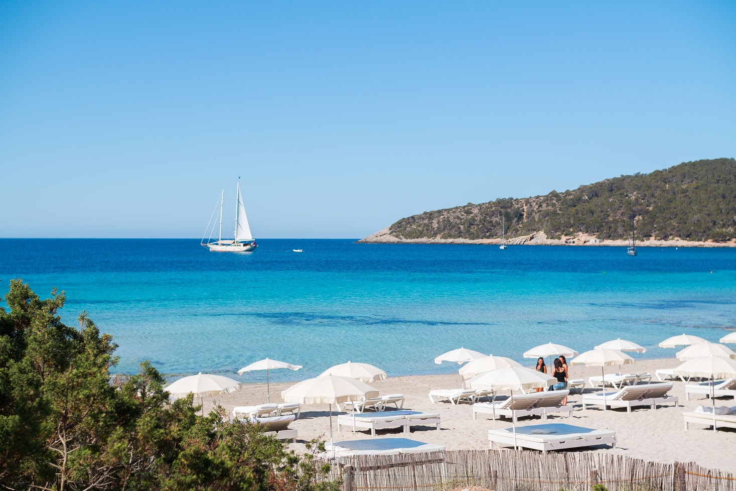 Salinas beach Ibiza nature reserve